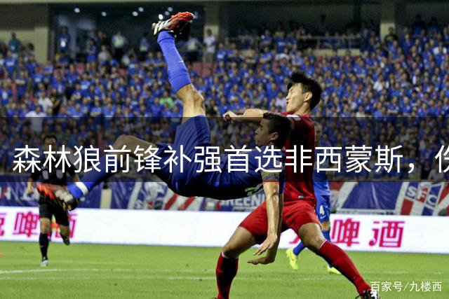 森林狼前锋补强首选非西蒙斯，伤病风险引担忧