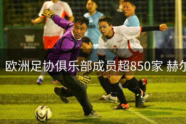 欧洲足协俱乐部成员超850家 赫尔城等新军助力组织发展